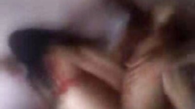 കോഴി